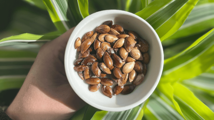 Comment préparer les graines de courge ? | Tchac